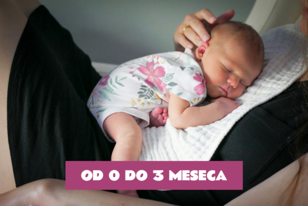 Modul od 0 do 3 meseca Modul 1: Temelji razvoja dece i roditeljstva 0–3 meseca: Osnova za pravilan razvoj