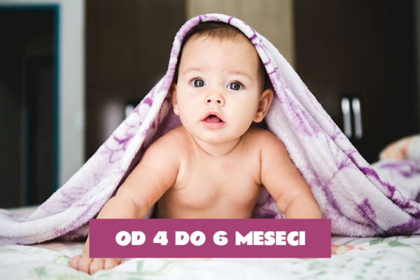 Modul od 4 do 6 meseci MODUL 2: 4–6 meseci: Jačanje oslonca i motoričkih sposobnosti